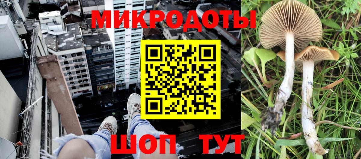 Галлюциногенные грибы Magic Shrooms Тосно