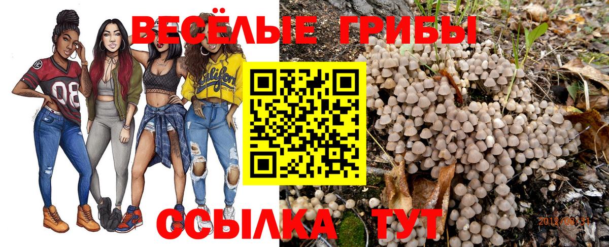 Псилоцибиновые грибы Magic Shrooms  Вход с VPN  Тосно 